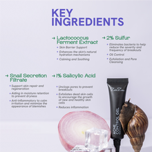 Load image into Gallery viewer, Zarzou - Acne Control Gel (ACG)