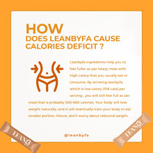 Load image into Gallery viewer, Lean by FA (Meal Replacement by Fatin Afeefa) - Bodyrange by Sugardoll